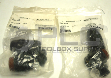 NEW LOT OF 2 LUMBERG RSC 50/9 5 PIN MINI FIELD MALE CONNECTORS