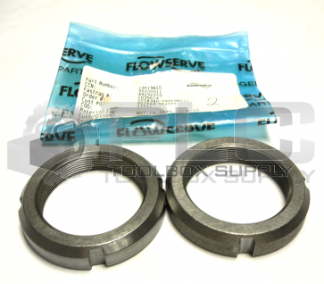 NEW LOT OF 2 FLOWSERVE 19A19N10 NUT LK BBRG 50 N-10