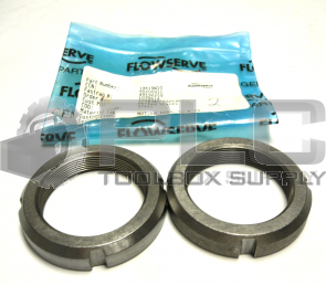 NEW LOT OF 2 FLOWSERVE 19A19N10 NUT LK BBRG 50 N-10